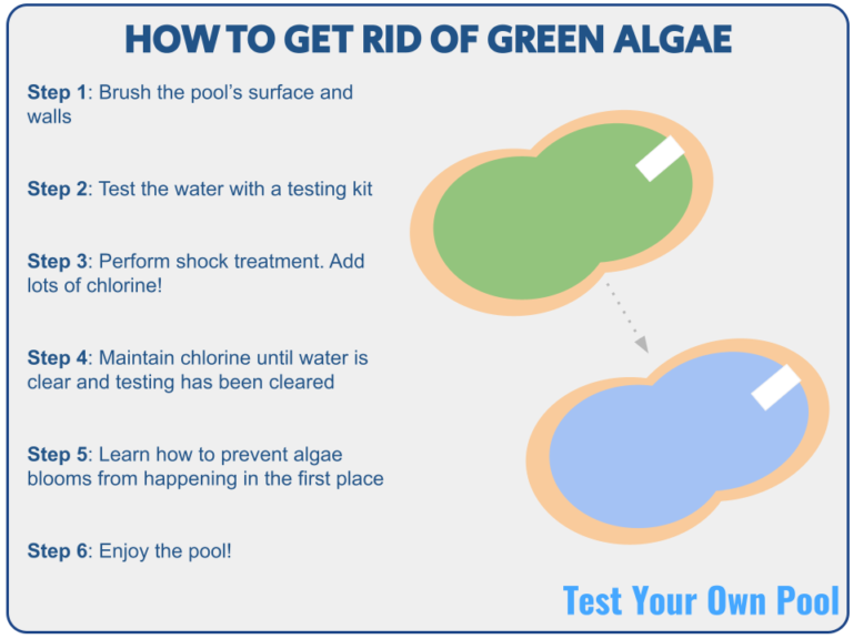How to Get Rid of Green Algae In A Pool | Test Your Own Pool