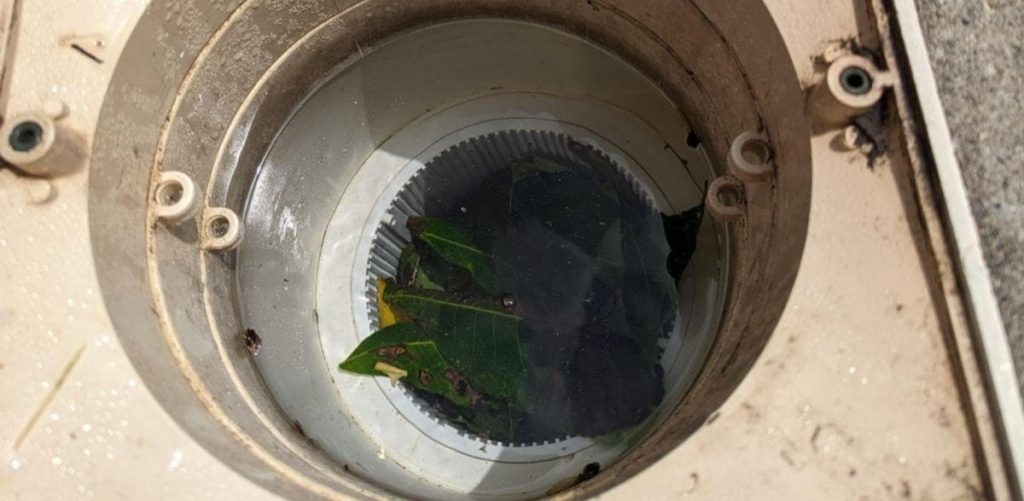 pool skimmer that is full of leaves