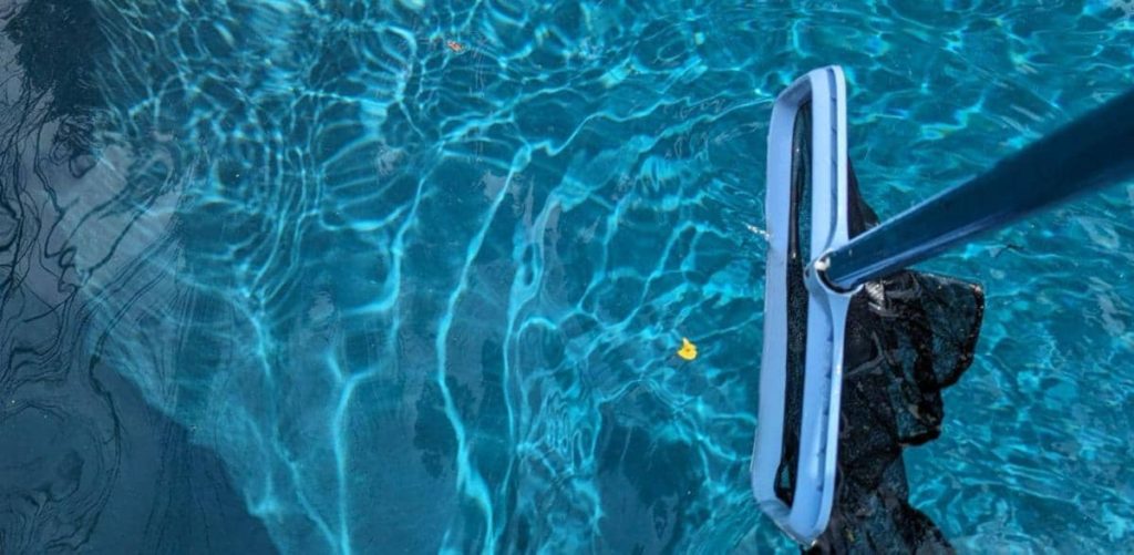 skimming the surface of a pool with skimmer net