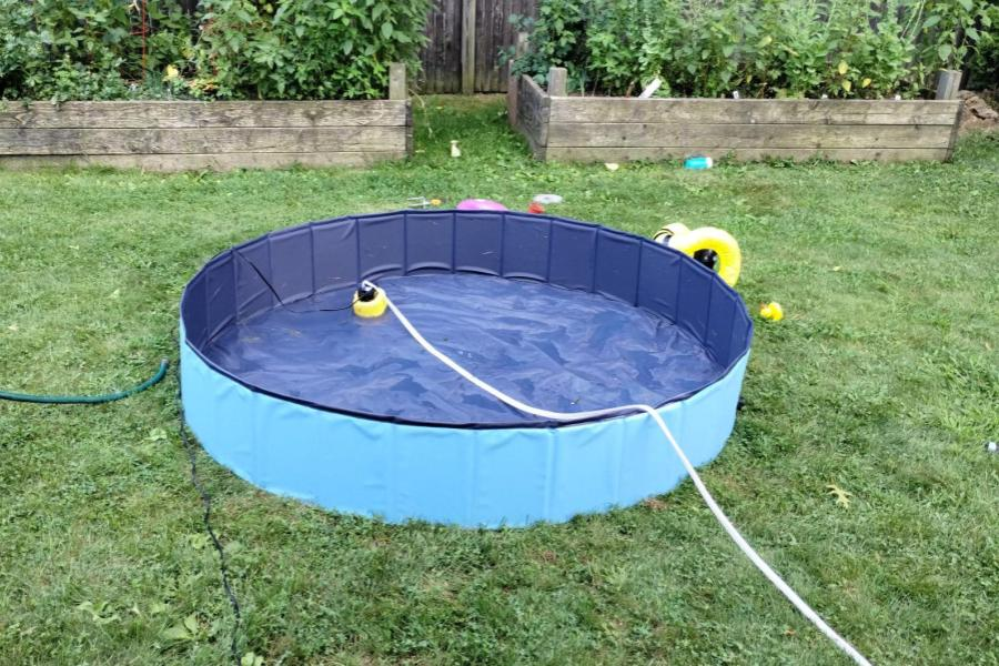draining an above-ground pool with a submersible pump