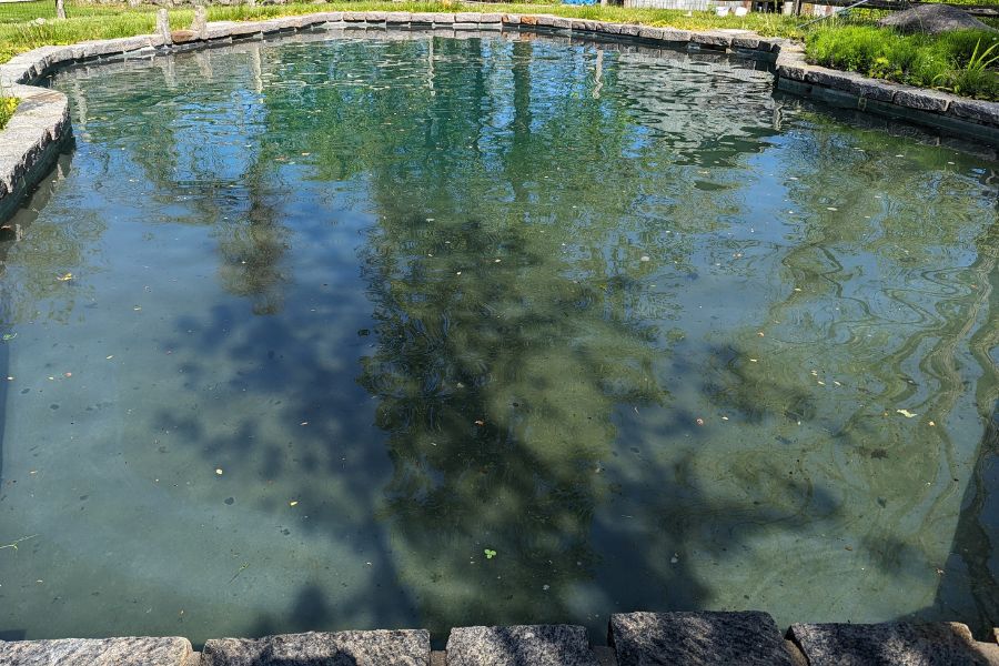 Opening the pool to dirty water